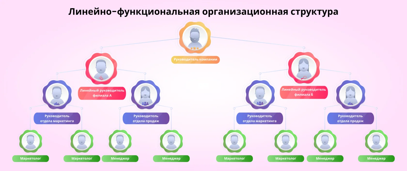 Линейно-функциональная организационная структура
